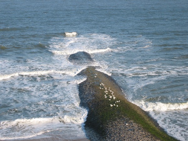 Sven-H. Mhr, Wangerooge