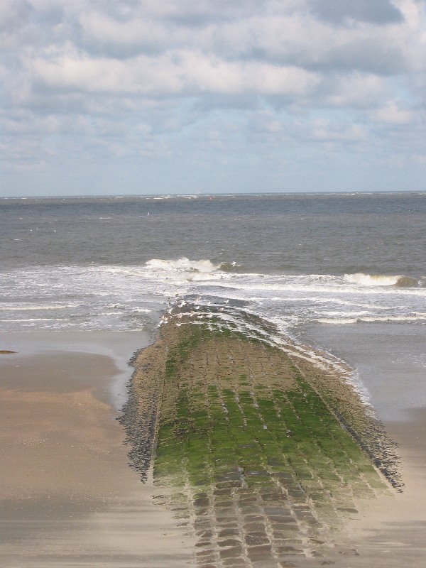 Sven-H. Mhr, Sven Mhr, Wangerooge