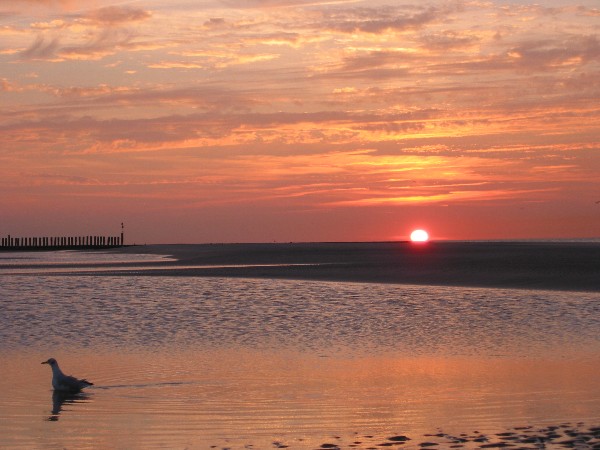 Sven-H. Mhr, Wangerooge