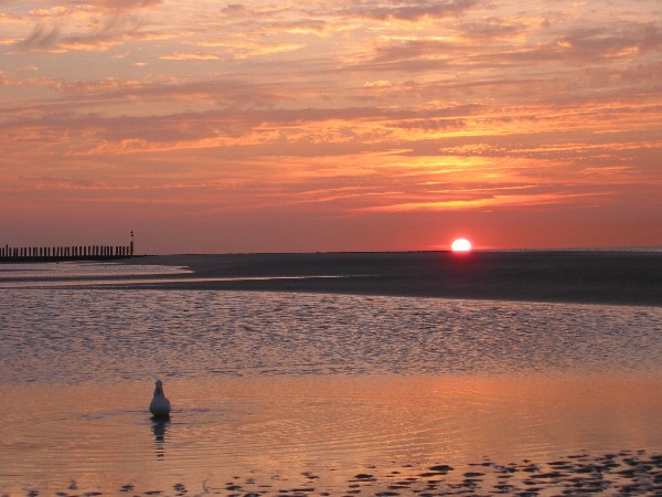 Sven-H. Mhr, Wangerooge