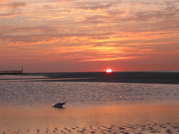 Sven-H. Mhr, Wangerooge