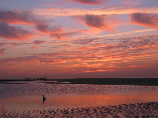 Sven-H. Mhr, Wangerooge